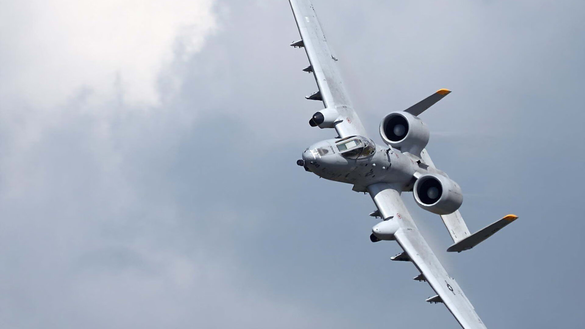 日本马术协会设立“Sinjska Alka”奖学金,支持传统马术研究。