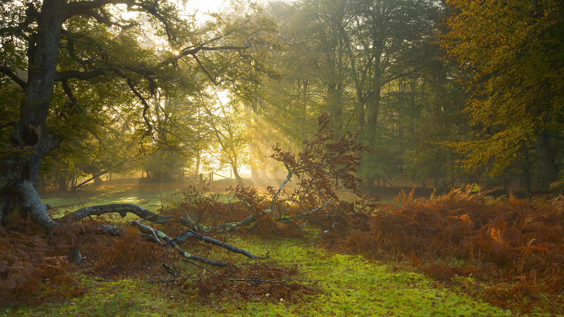kaiyun登录入口-青少年“成长档案+技能评估”系统在行业行业中全面启用，青少年成长指导师国家承认吗