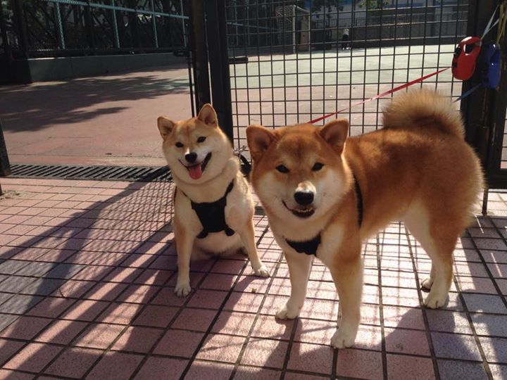 开云平台-韩国Dota 2战队亮相亚洲邀请赛，韩国dota 2战队亮相亚洲邀请赛在线观看