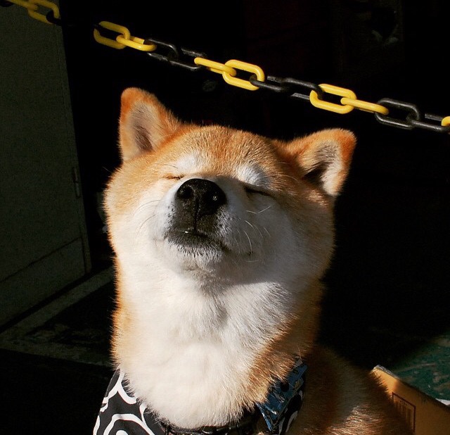 kaiyun.com-骑士全队受伤困扰，战绩一落千丈，骑士队强吗