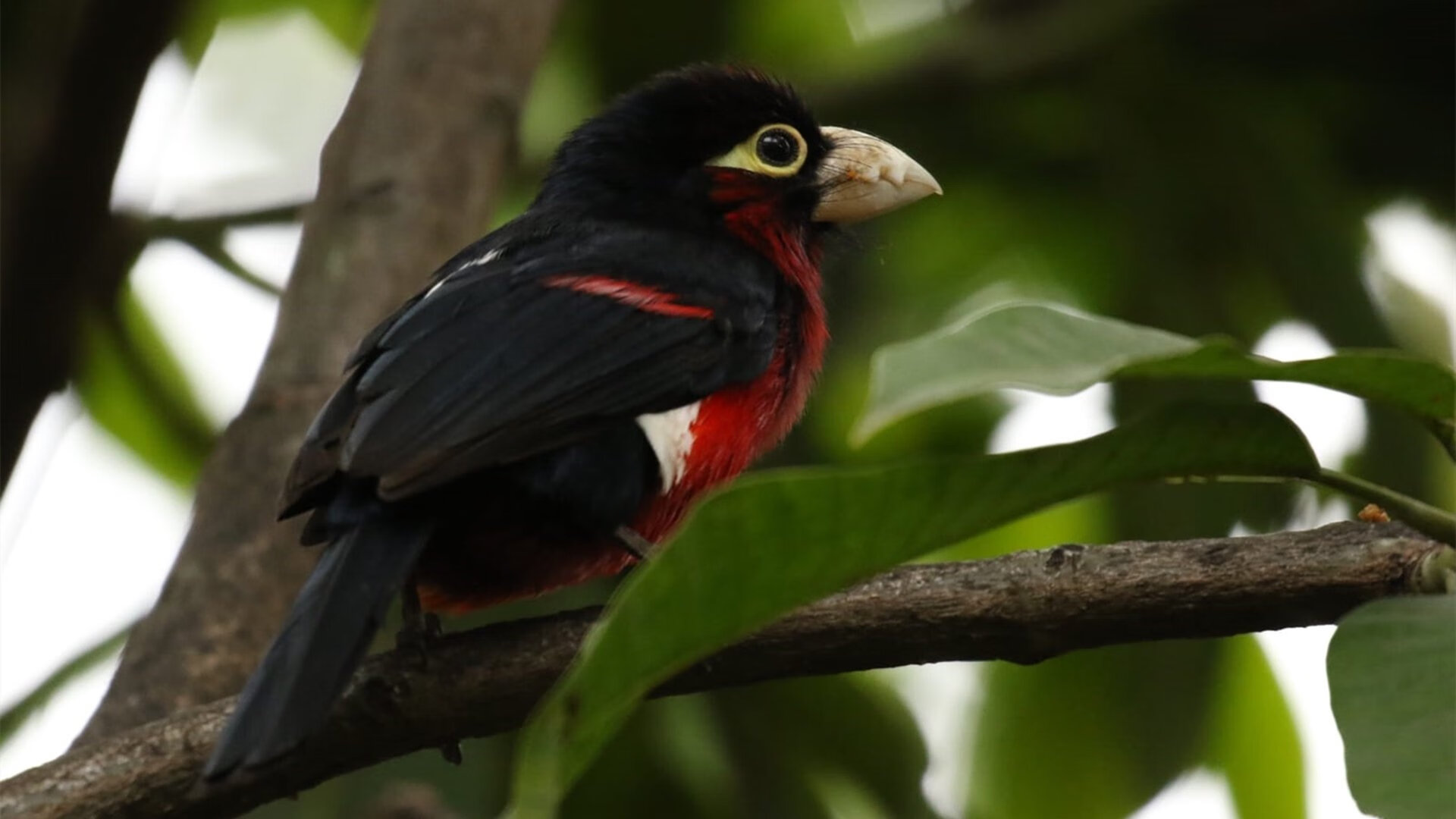 篮球专项体能训练技术升级与应用评估,篮球专项体能训练的心得体会