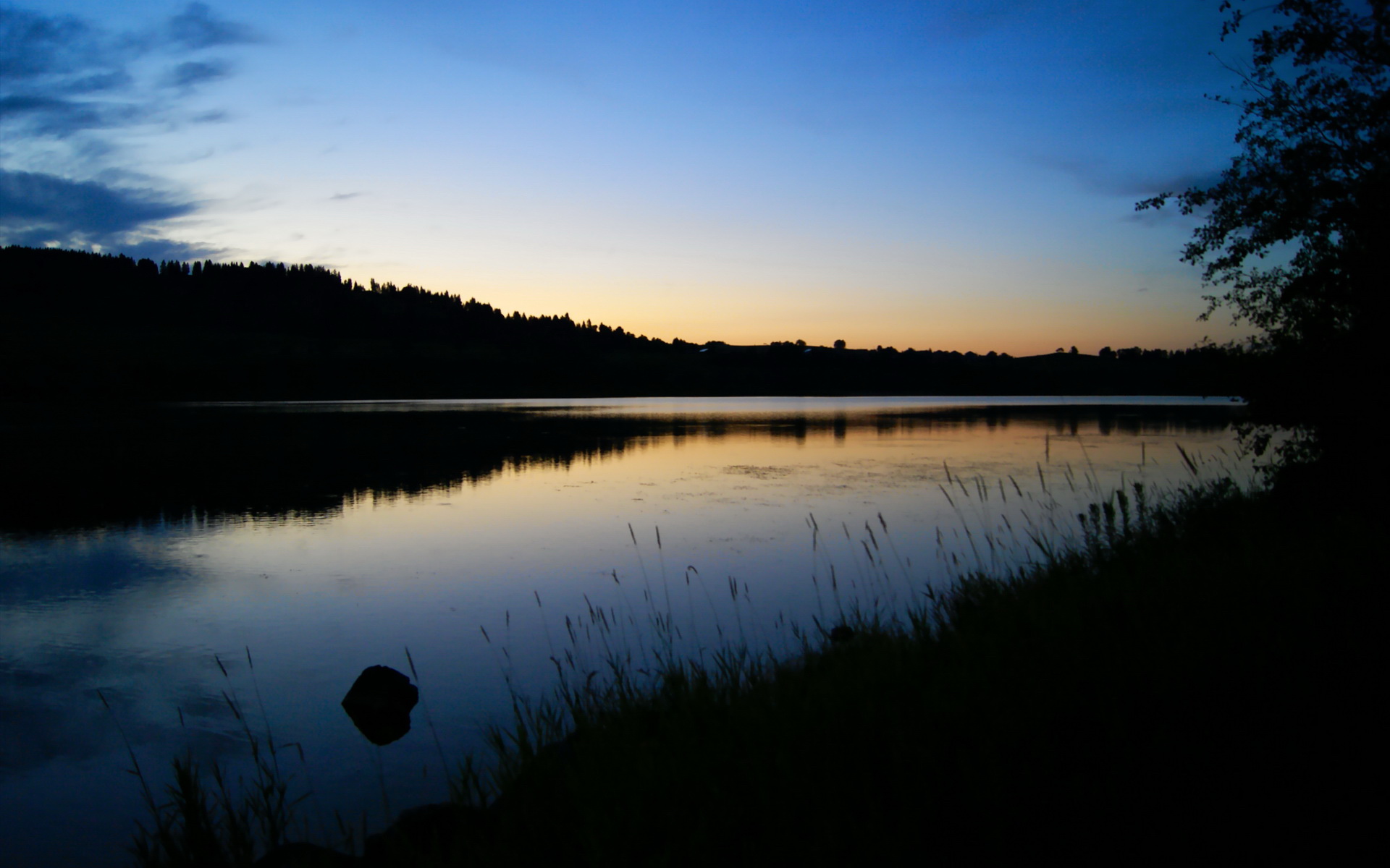 蝶泳起跳时间均值对比:中澳居前,蝶泳时机