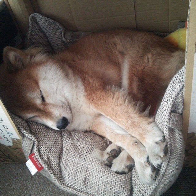 柯洁带伤完成比赛围棋世界赛，柯洁下的围棋比赛