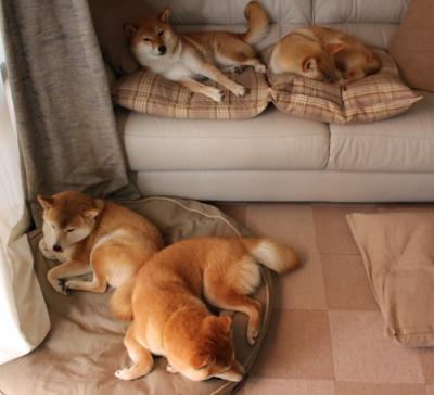 开云官方网页登录-格林伍德的球场洞察力和防守稳定性，助袋鼠队取得关键胜利，格林伍德首秀