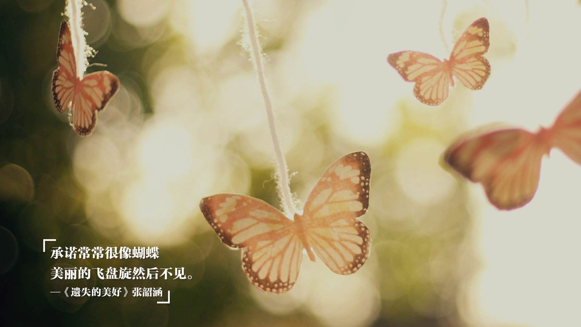 篮网赛前组织高强度热身提升实战效率,篮网公开训练合照