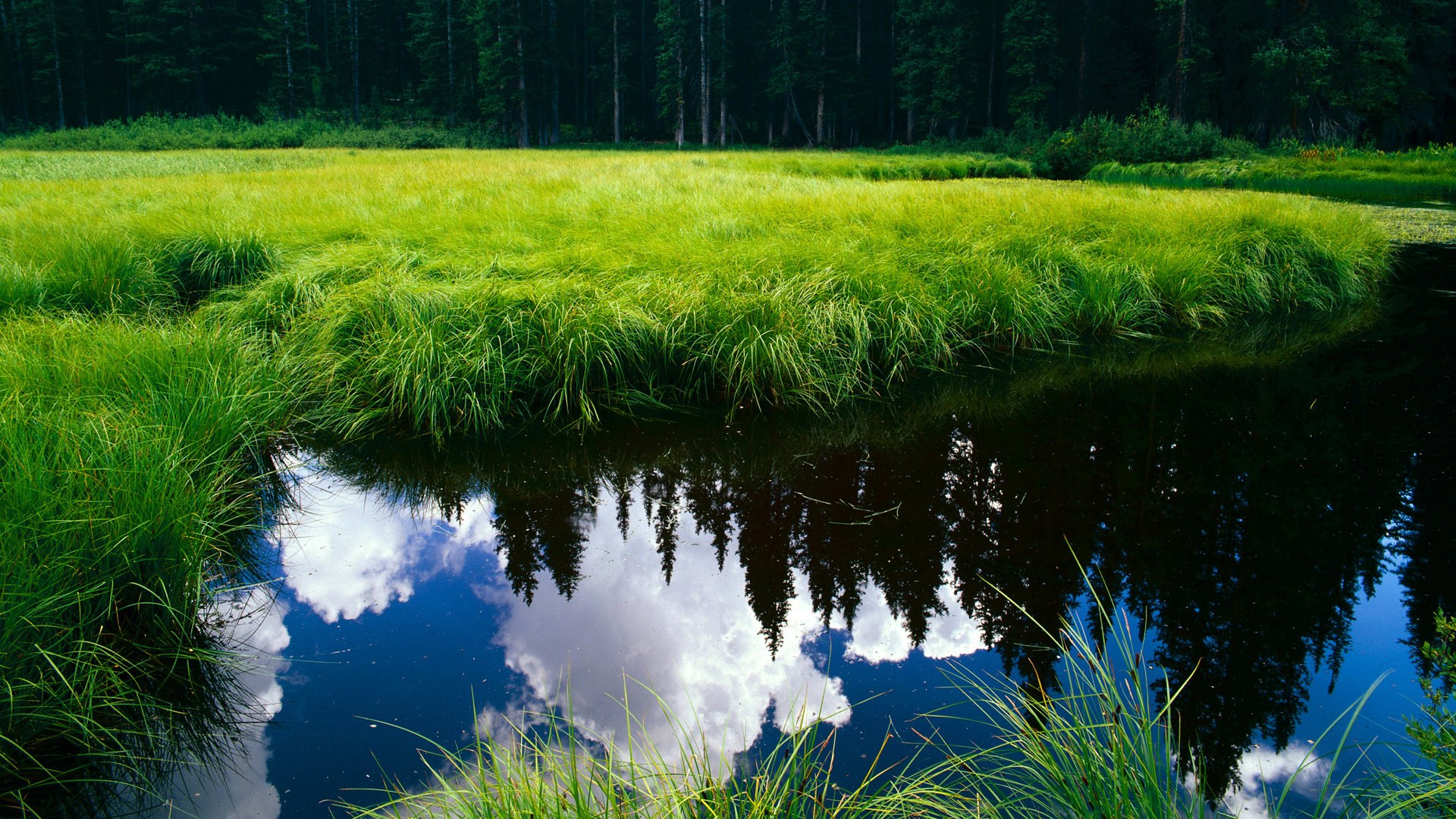 kaiyun网站-英超劲旅争锋：每一分都充满悬念，英超精华2020