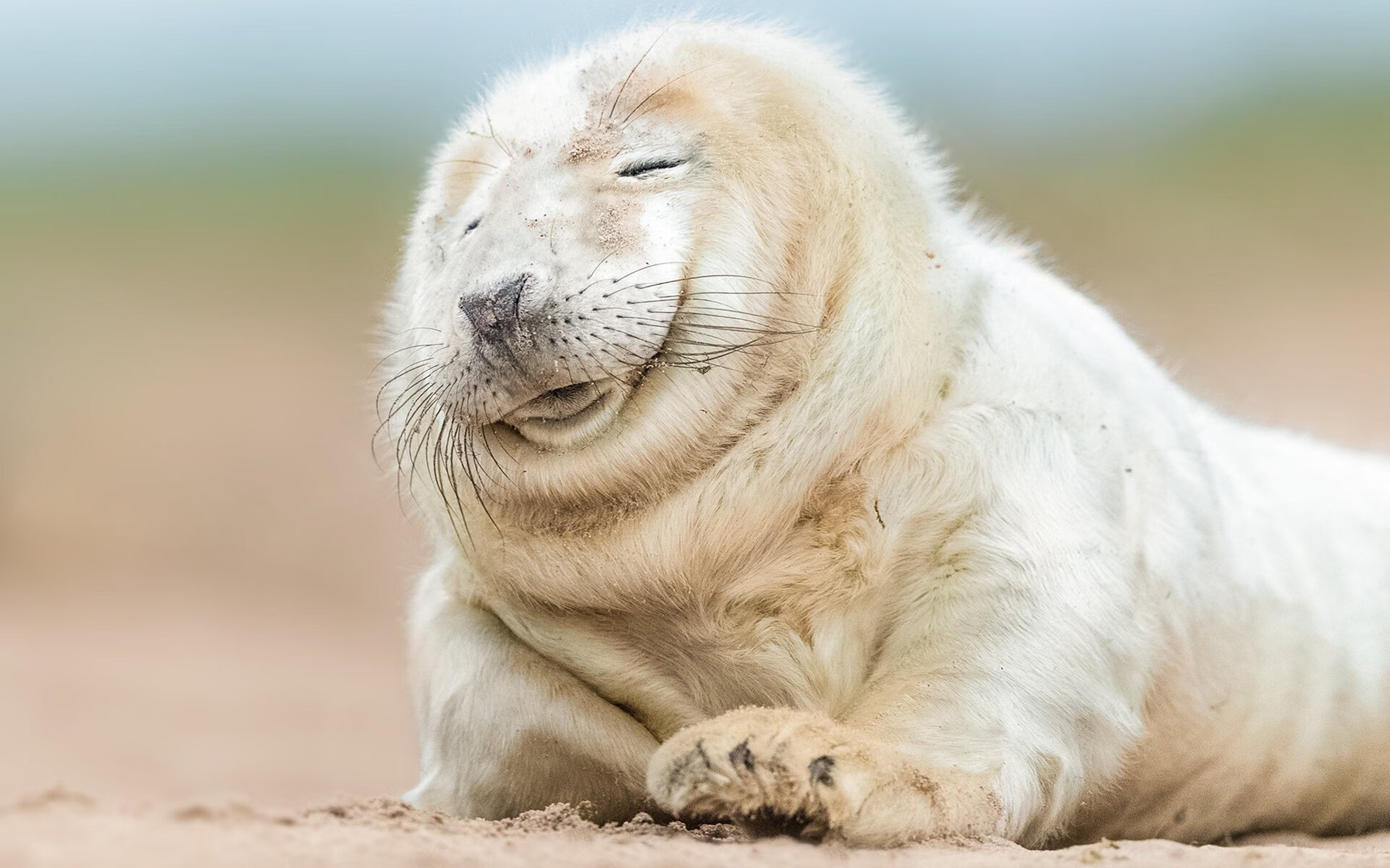 里根·史密斯蝶泳动作流畅成亮点,雷根史密斯200米仰泳